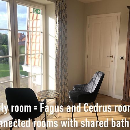 Cedrus Bed & Breakfast Jabbeke  Exterior foto