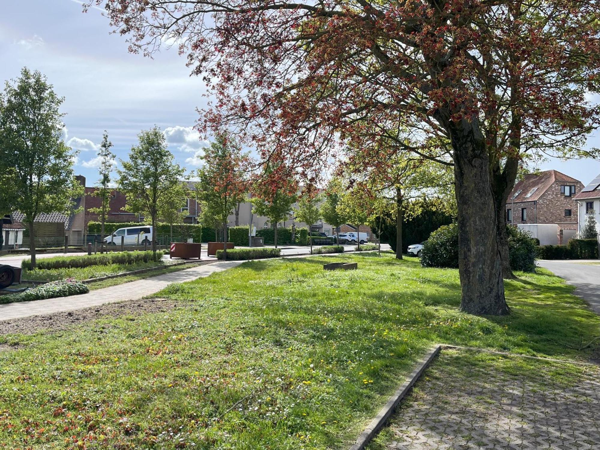 Cedrus Bed & Breakfast Jabbeke  Exterior foto
