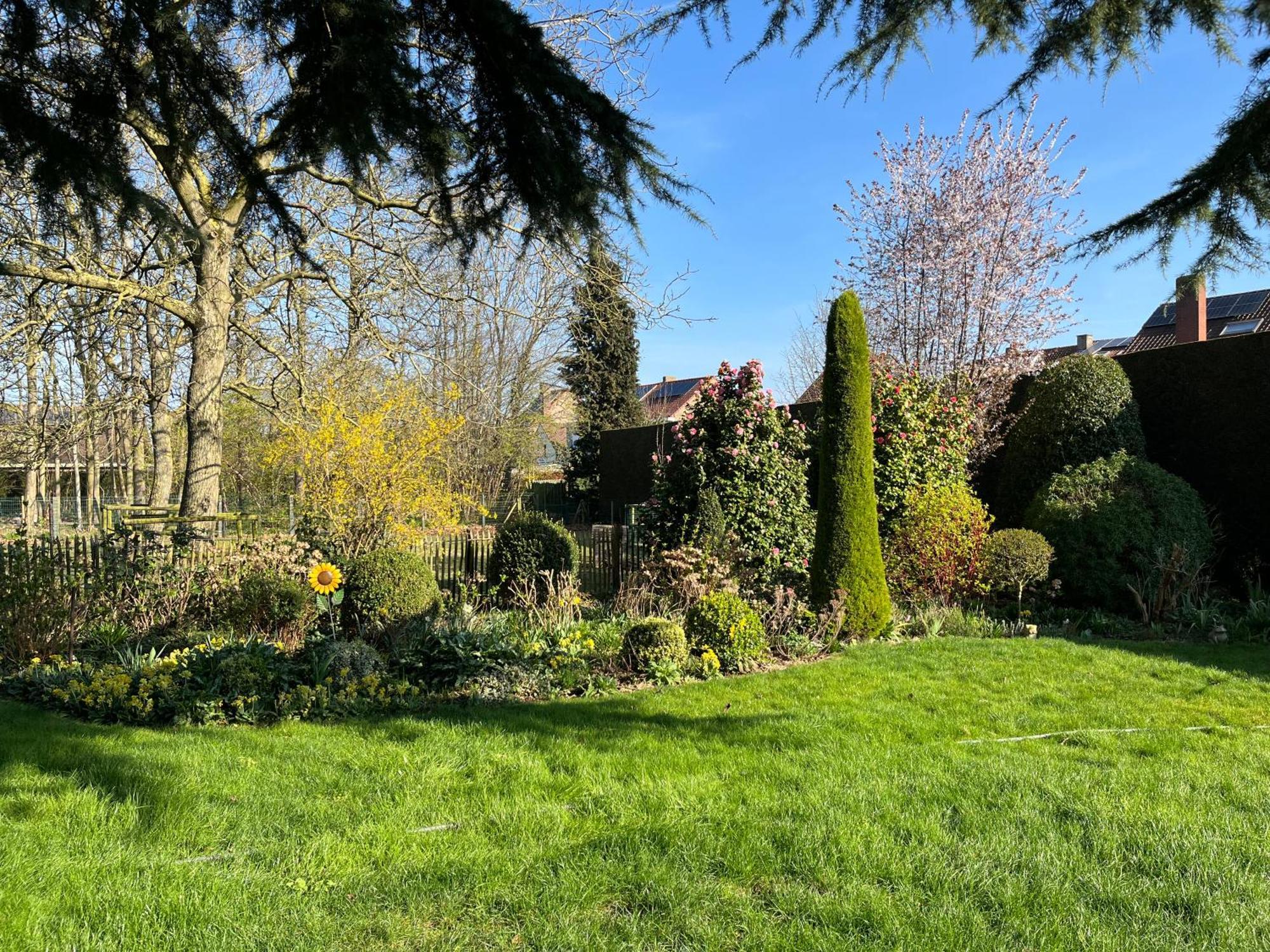 Cedrus Bed & Breakfast Jabbeke  Exterior foto